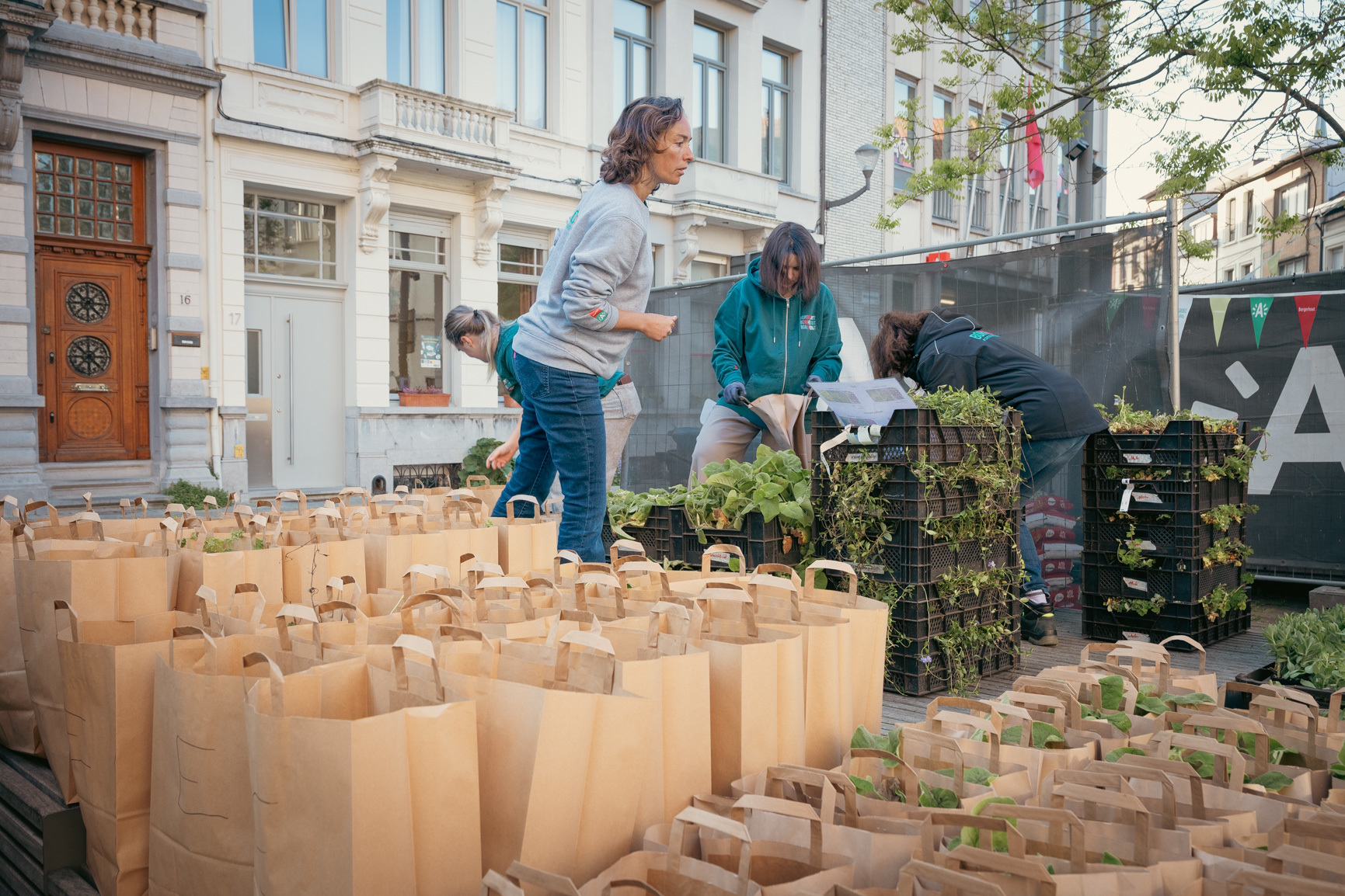 Bestel voor 1 september je gratis plantjes. 17 oktober is het weer Groeidag in Borgerhout